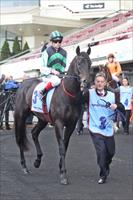 Shamus Award on track for Guineas